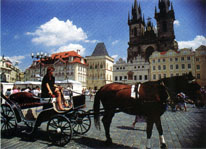 A carriage and horse await passengers in Old Town Square